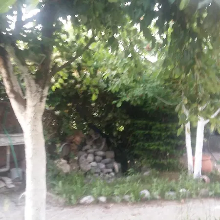ιανός γ Apartment Karditsa